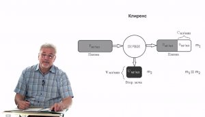 Евсеев А.В. Нормальная физиология. Лекция №28 .Почки. Количественный анализ, регуляция. 2024