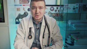 Кашель у собаки - причины и лечение