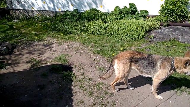 Сделал 4G интернет смотреть онлайн