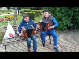 МАТАНЯ от 10 гармонистов!