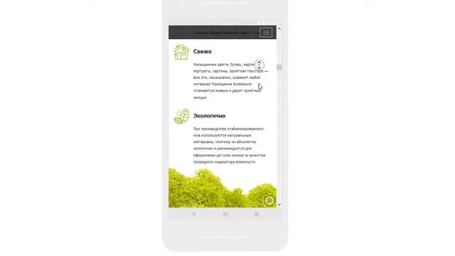 Стабилизированный мох - Landing Page шаблон №0056 смотреть онлайн