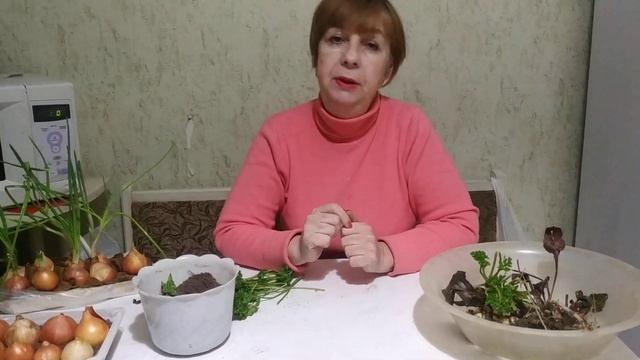 Ремонтные Мастерки