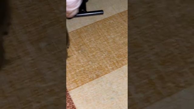 Сверлильный патрон «зубр» для перфоратора ￼ смотреть онлайн