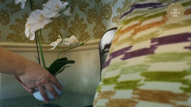 Clubhouse Hotel promo смотреть онлайн
