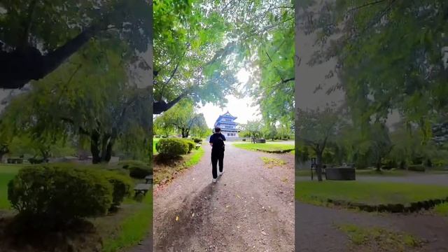 Exploring the Hirosaki Castle with the @insta360 X3??? #nodronenoproblem #travel #insta360x3 смотреть онлайн