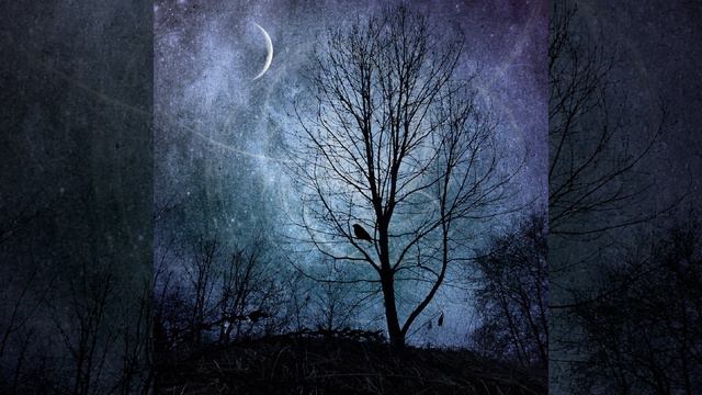 Dead River Co. (Zentatonic Vibe Version) смотреть онлайн