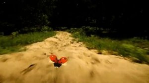 Букашки 7 серия высокий полет.