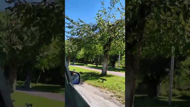 ⚪Vlog. Нальчик. КБР? Где я родилась? смотреть онлайн