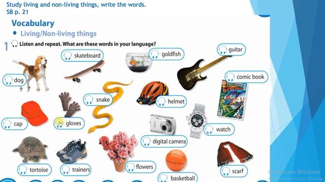 Grade 5 Living and non living things (vocabulary) смотреть онлайн