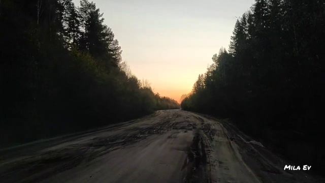 16.05.2023. Дорога от Подосиновца до Пинюга. Вятавтодор. Кировская область Подосиновский район смотреть онлайн
