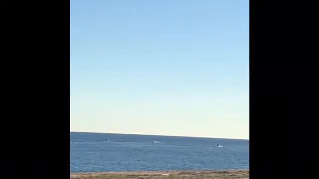 Катание на скутерах смотреть онлайн