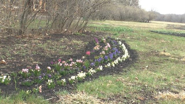 Весенние дни в «Тарханах» смотреть онлайн