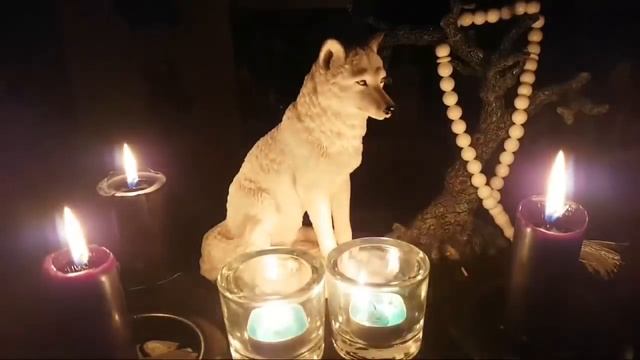 ПЕЧАТЬ ИЗГОЯ. ТЕОРИЯ МАГИИ. СЕРИЯ "ПРОКЛЯТИЯ И ПОРЧИ". ВЕДЬМИНА ИЗБА. ИНГА ХОСРОЕВА смотреть онлайн
