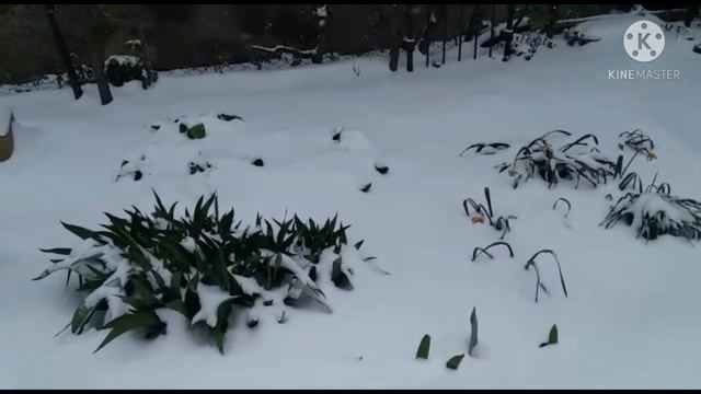 ?❄❄❄Казахстан...мой любимый город Талды-Курган сегодня 21.04.21❄❄❄? смотреть онлайн