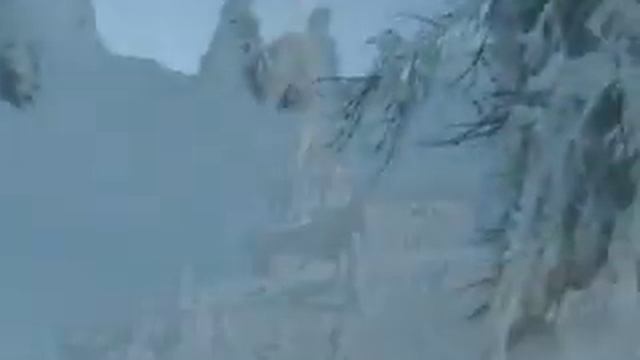 Desni Žleb Uršje Gore 29 12 2008 смотреть онлайн