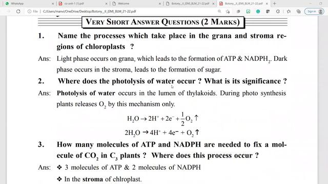 VSAQ ENZYMES AND PHOTOSYNTHESIS смотреть онлайн