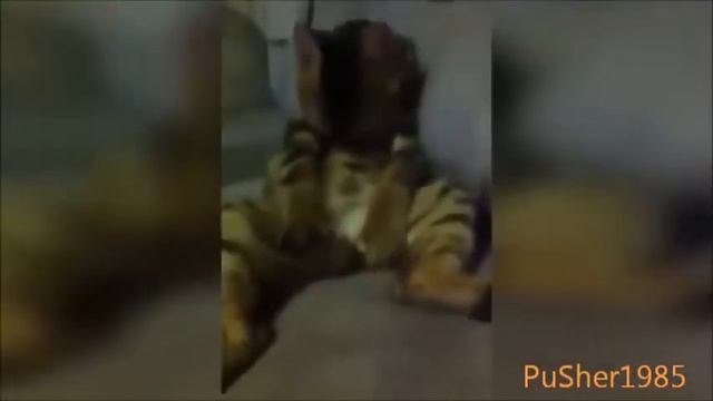 Все мы видим сны) смотреть онлайн