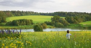 "Моя земля, я о тебе пою..." Русская природа на картинах Ярослава Зяблова