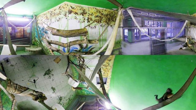 Парк "Роев ручей" смотреть онлайн