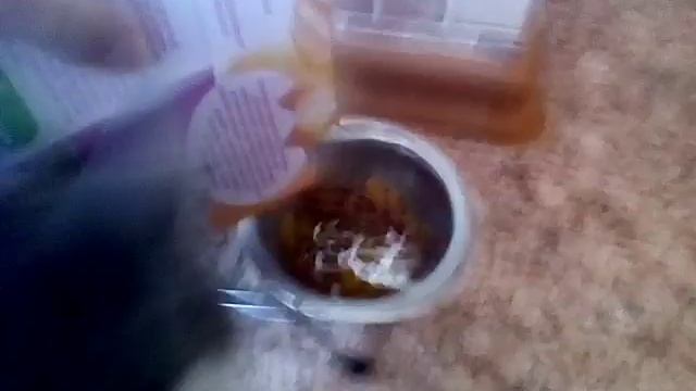 Опять видео про Феликса!?/// SASHA Summer смотреть онлайн