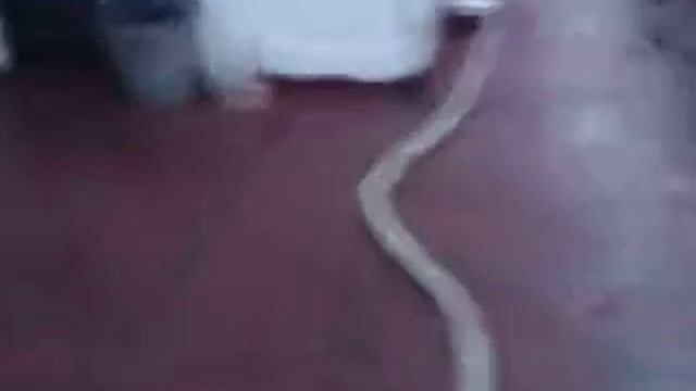 2014 конец октября рыбинское водохранилище смотреть онлайн