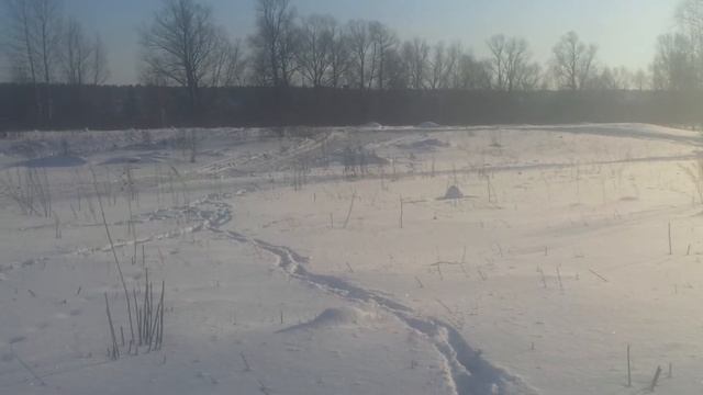 Скийоринг 22 декабря 2013 г. Новосибирск смотреть онлайн