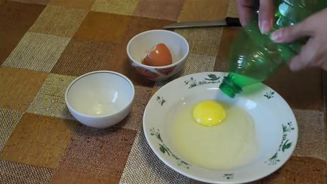 КАК ОТДЕЛИТЬ БЕЛКИ ОТ ЖЕЛТКОВ