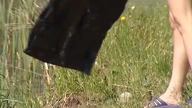 В Вологде добровольцы очистили карьер смотреть онлайн
