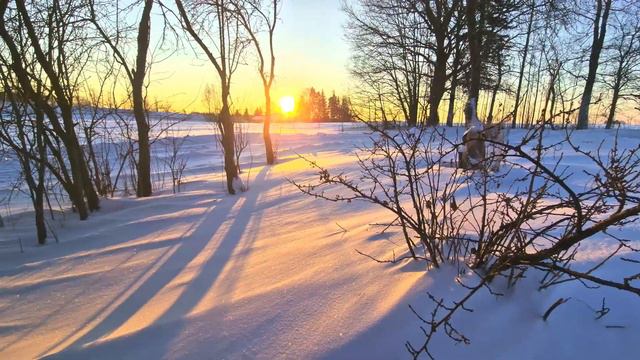 Sunrise (HDR10+) 4K Sample Footage Video HDR10 Plus