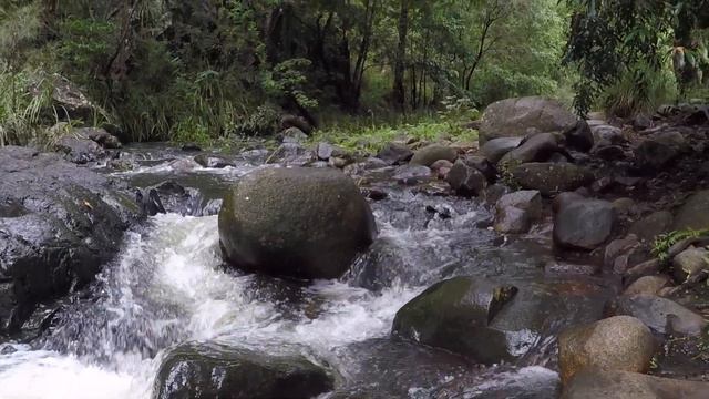 Brendan Prince.. Waiting for Tomorrow.. Soundhealing Song with Native American Flute and Tongue Dru смотреть онлайн