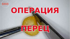 Как ускорить всхожесть семян перца. Подготовка к проращиванию