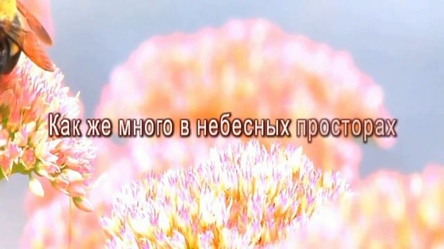 Не молчи минус смотреть онлайн