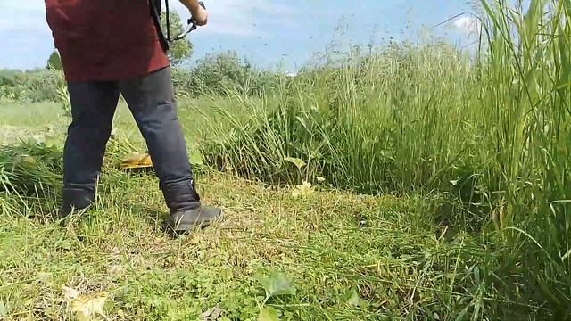 Приспособа для триммера, покос травы на корм