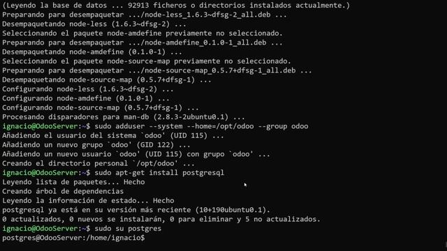 Cursos Odoo - Cómo Instalar Odoo 14 en un Servidor Linux (explicación) смотреть онлайн