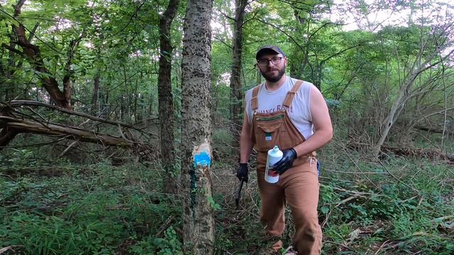 How To Use The Hack & Squirt Technique | Timber Stand Improvement