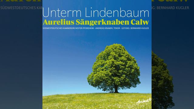 Winterreise, D. 911: V. Der Lindenbaum смотреть онлайн