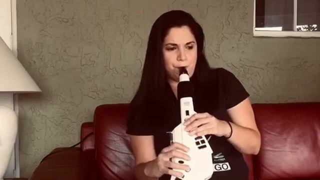 My Funny Valentine Roland Aerophone смотреть онлайн