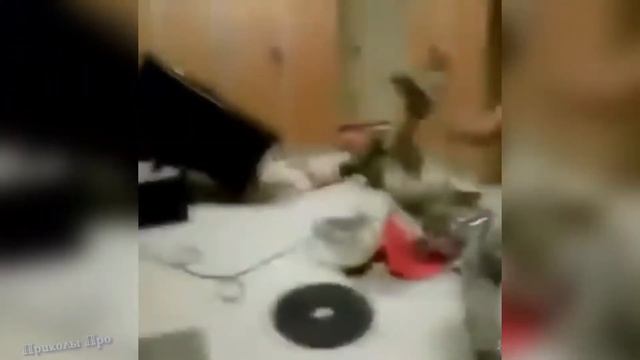 [РАССУЖДАЕМ] 23 ФЕВРАЛЯ И СЛУЖАТ ЛИ ВАМПИРЫ В АРМИИ? ВЫ ТОЧНО УДИВИТЕСЬ смотреть онлайн