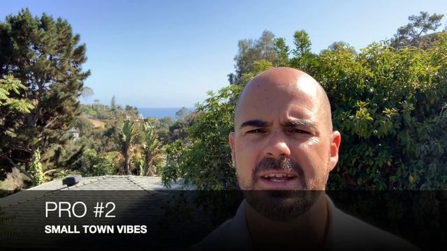 Living In Laguna Beach 5 Pros and Cons || Laguna Beach real estate agent смотреть онлайн