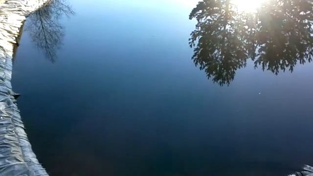 Пруд перезимовал2016 04 08 смотреть онлайн