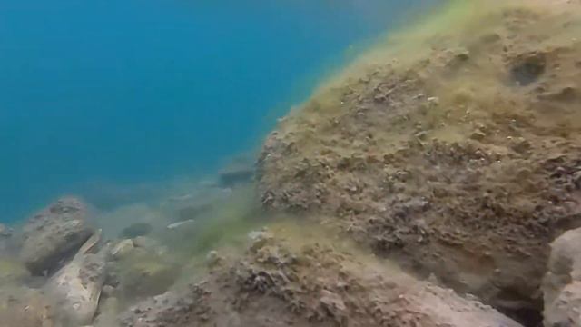 Каменистое дно смотреть онлайн