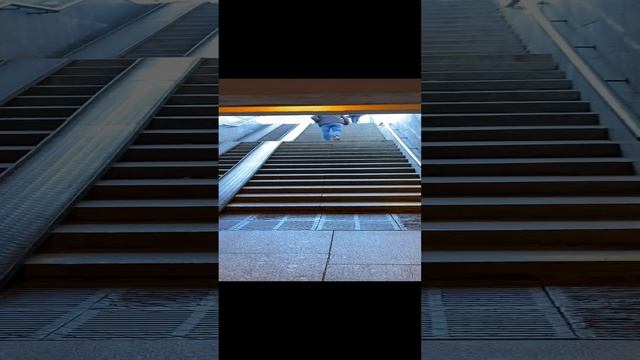 У метро Лесная #пестовв смотреть онлайн