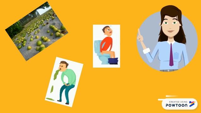 Hippomane Mancinella