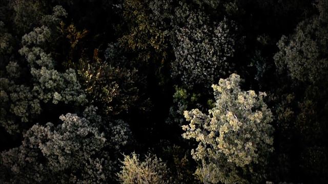 David Julyan - The Mountains смотреть онлайн