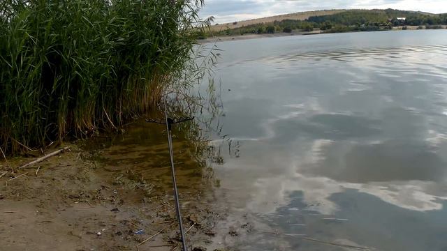 ZEMEX Iron Feeder - обзор и тест. Рыбалка на фидер!