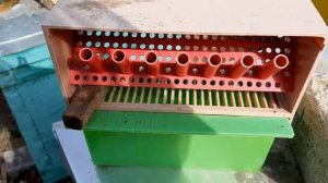 Пасека с нуля. Пыльцесборники. Установка пыльцесборников.