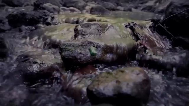 Un NOMBRE y una HISTORIA que NO deben OLVIDARSE: Caso Riccy Mabel смотреть онлайн