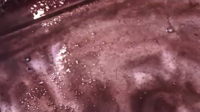 Clean house от Eco Life - безопасный очиститель смотреть онлайн