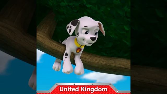 Spotted Pup Trivia #2 (Voice Acting) смотреть онлайн