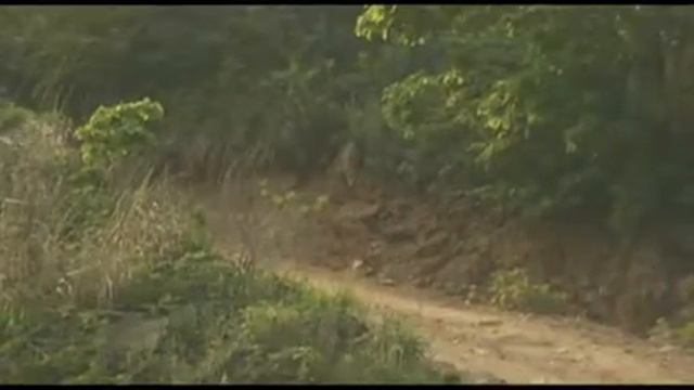 Renault Koleos 2014 dynamic shots смотреть онлайн